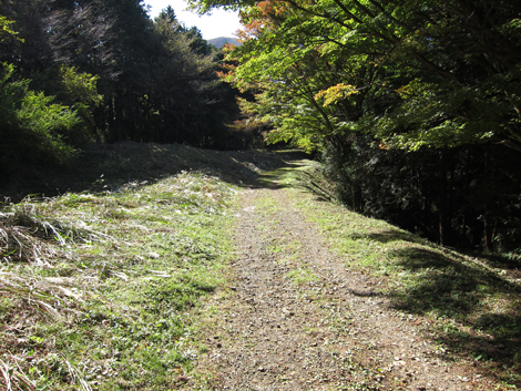 20201105hike (154)
